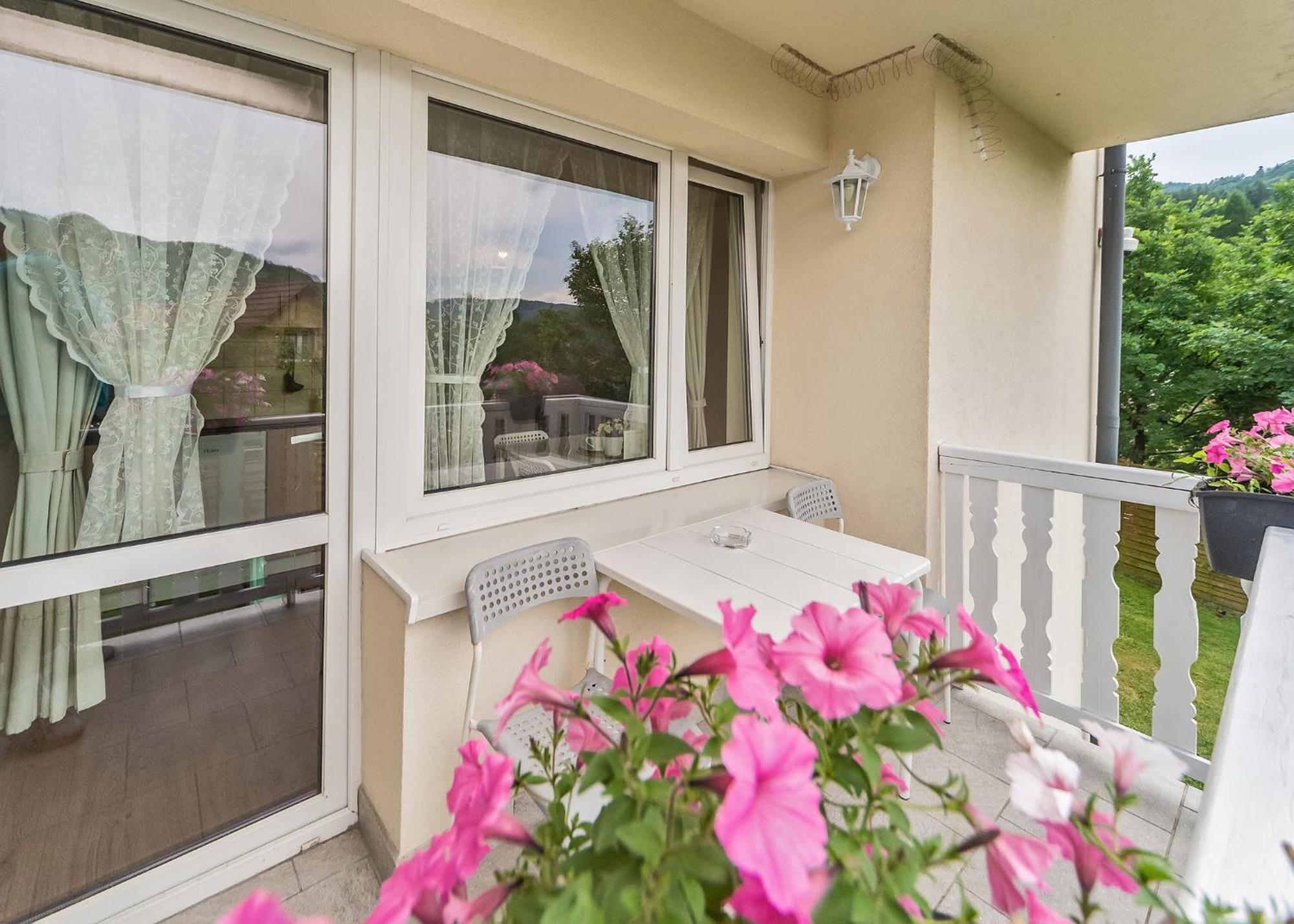 Willa Aleksandra - Apartamenty Miedzybrodzie Zywieckie Bagian luar foto
